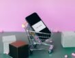 India ecommerce leaders
