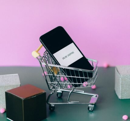 India ecommerce leaders