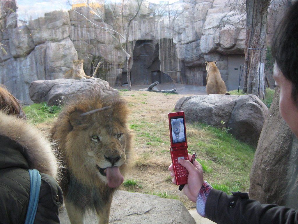 gaming phone features