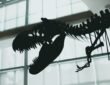 T. rex cousin fossil