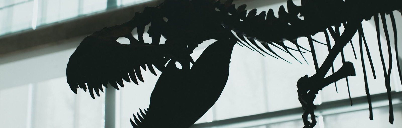 T. rex cousin fossil