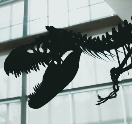 T. rex cousin fossil